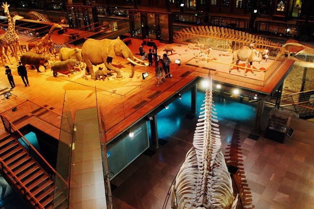 Exposições do Museu Nacional de História Natural em Paris