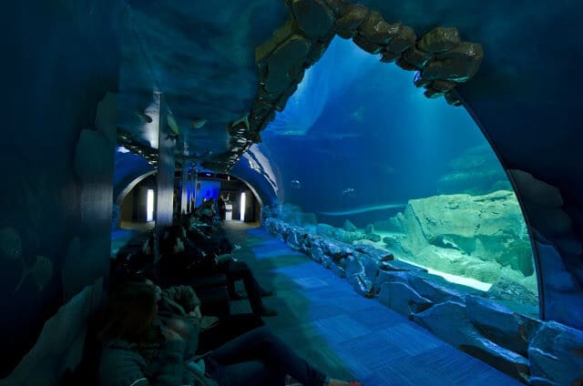 Aquarium de Paris CineAqua em Paris