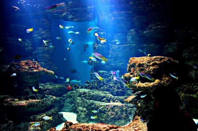Aquarium Cinéaqua de Paris