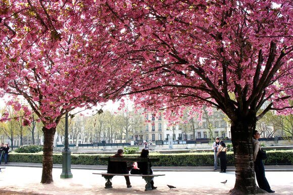 Parques na primavera em Paris